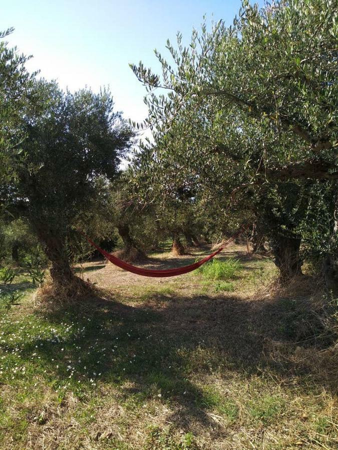 Villa Daphne, Messinia Near Koroni Kompoi Экстерьер фото